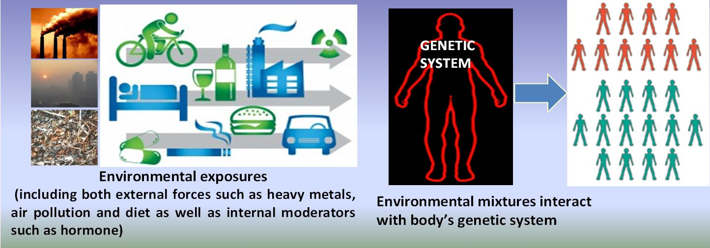 Novel Methods for Longitudinal Study